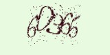 CAPTCHA: введите символы, которые вы видите на картинке