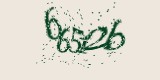 CAPTCHA: введите символы, которые вы видите на картинке