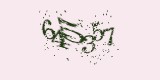 CAPTCHA: введите символы, которые вы видите на картинке