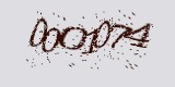 CAPTCHA: введите символы, которые вы видите на картинке