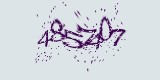 CAPTCHA: введите символы, которые вы видите на картинке