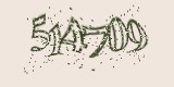 CAPTCHA: введите символы, которые вы видите на картинке