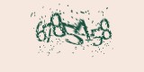 CAPTCHA: введите символы, которые вы видите на картинке