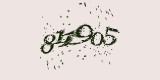 CAPTCHA: введите символы, которые вы видите на картинке