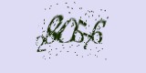 CAPTCHA: введите символы, которые вы видите на картинке