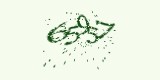 CAPTCHA: введите символы, которые вы видите на картинке