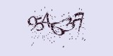 CAPTCHA: введите символы, которые вы видите на картинке