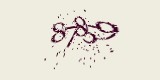 CAPTCHA: введите символы, которые вы видите на картинке