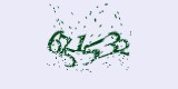 CAPTCHA: введите символы, которые вы видите на картинке