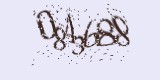 CAPTCHA: введите символы, которые вы видите на картинке