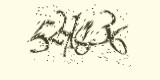 CAPTCHA: введите символы, которые вы видите на картинке