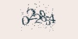 CAPTCHA: введите символы, которые вы видите на картинке
