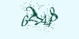 CAPTCHA: введите символы, которые вы видите на картинке
