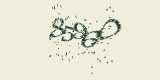CAPTCHA: введите символы, которые вы видите на картинке