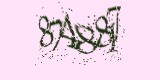 CAPTCHA: введите символы, которые вы видите на картинке