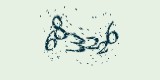 CAPTCHA: введите символы, которые вы видите на картинке