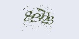 CAPTCHA: введите символы, которые вы видите на картинке