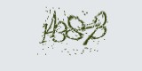 CAPTCHA: введите символы, которые вы видите на картинке
