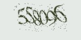 CAPTCHA: введите символы, которые вы видите на картинке