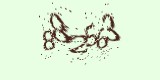 CAPTCHA: введите символы, которые вы видите на картинке