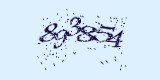 CAPTCHA: введите символы, которые вы видите на картинке