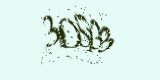 CAPTCHA: введите символы, которые вы видите на картинке