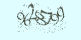 CAPTCHA: введите символы, которые вы видите на картинке