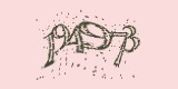 CAPTCHA: введите символы, которые вы видите на картинке
