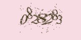 CAPTCHA: введите символы, которые вы видите на картинке