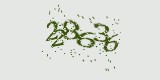 CAPTCHA: введите символы, которые вы видите на картинке