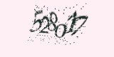 CAPTCHA: введите символы, которые вы видите на картинке