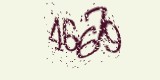 CAPTCHA: введите символы, которые вы видите на картинке