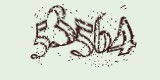 CAPTCHA: введите символы, которые вы видите на картинке