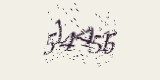 CAPTCHA: введите символы, которые вы видите на картинке