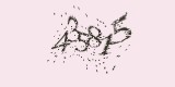 CAPTCHA: введите символы, которые вы видите на картинке