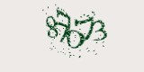 CAPTCHA: введите символы, которые вы видите на картинке