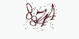 CAPTCHA: введите символы, которые вы видите на картинке