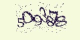 CAPTCHA: введите символы, которые вы видите на картинке