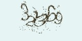 CAPTCHA: введите символы, которые вы видите на картинке